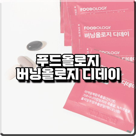  버닝올로지 디데이 효능 및 성분/가격/먹는 법 등 총정리