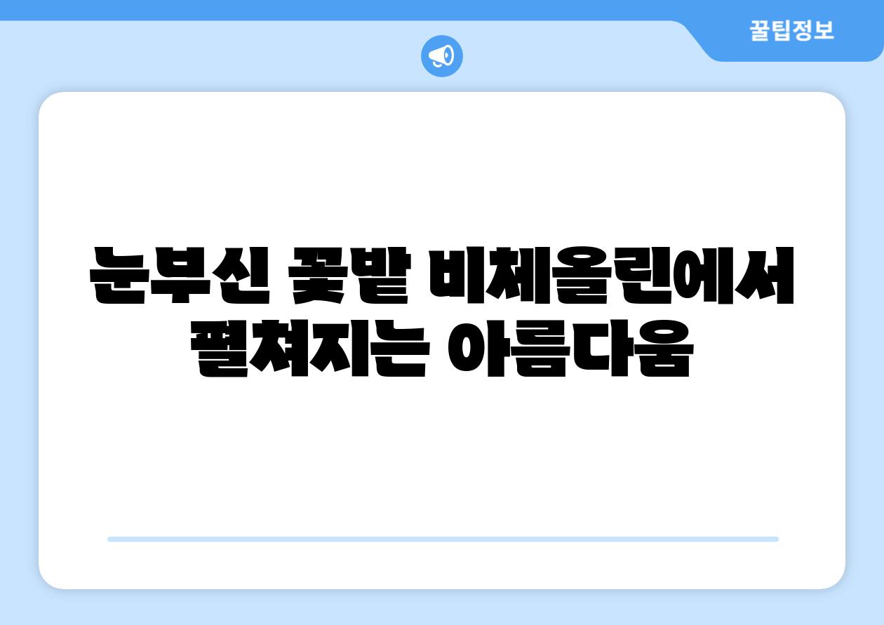 눈부신 꽃밭 비체올린에서 펼쳐지는 아름다움