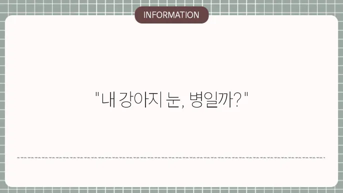 강아지 백내장 검사비용: 