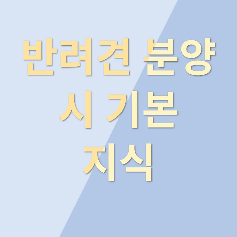 반려견 분양_1