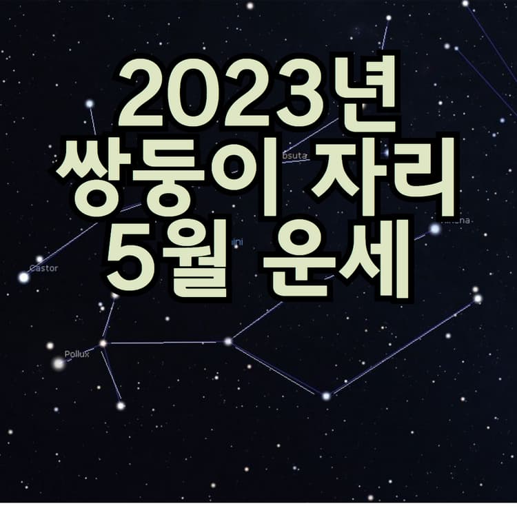  2023년 쌍둥이자리 5월 별자리 운세