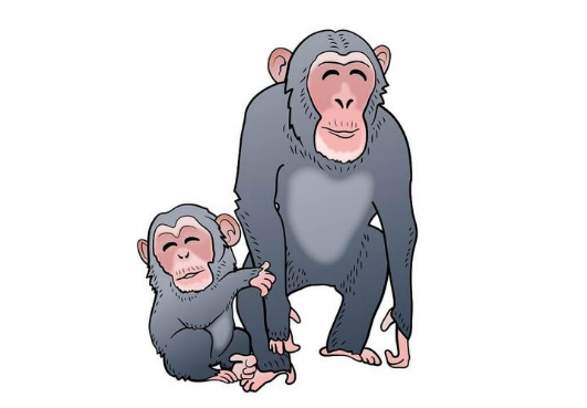  꿈속에서 원숭이가 나올때 꿈해몽