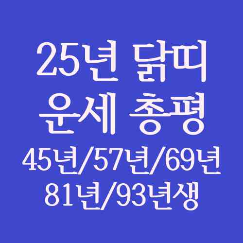 2025년-닭띠-운세-재물운-직장운-건강운-연애운-애정운-정리