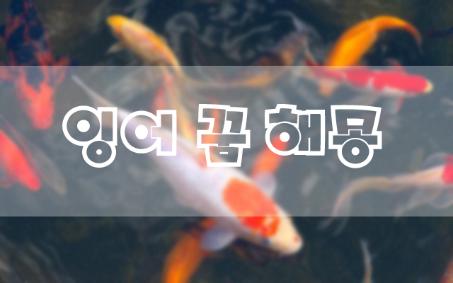 잉어꿈 해몽 24가지
