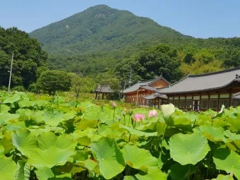 완주 가볼만한곳 베스트 10 맛집 여행 코스_18