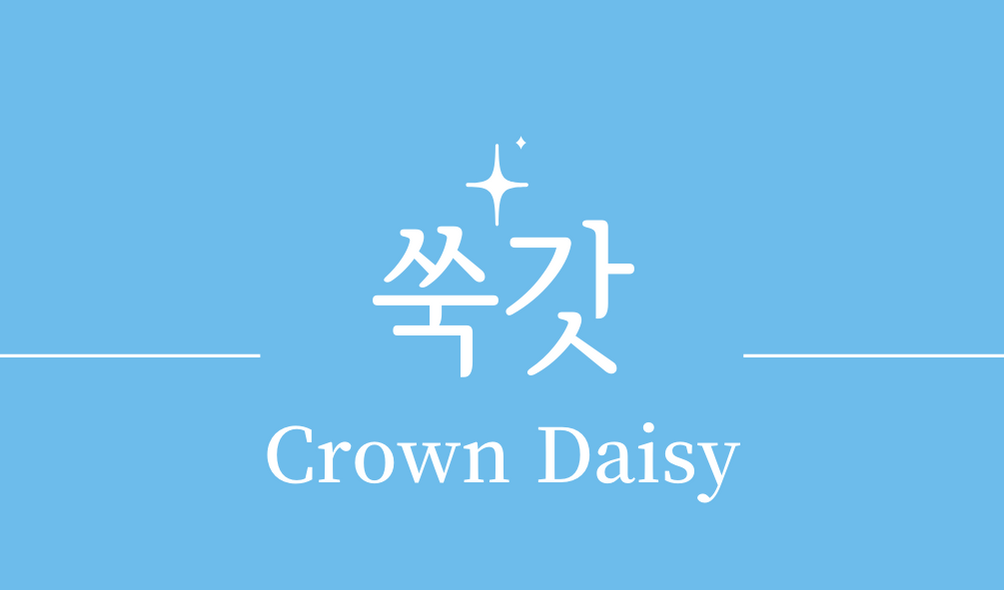 &#39;쑥갓(Crown Daisy)&#39;