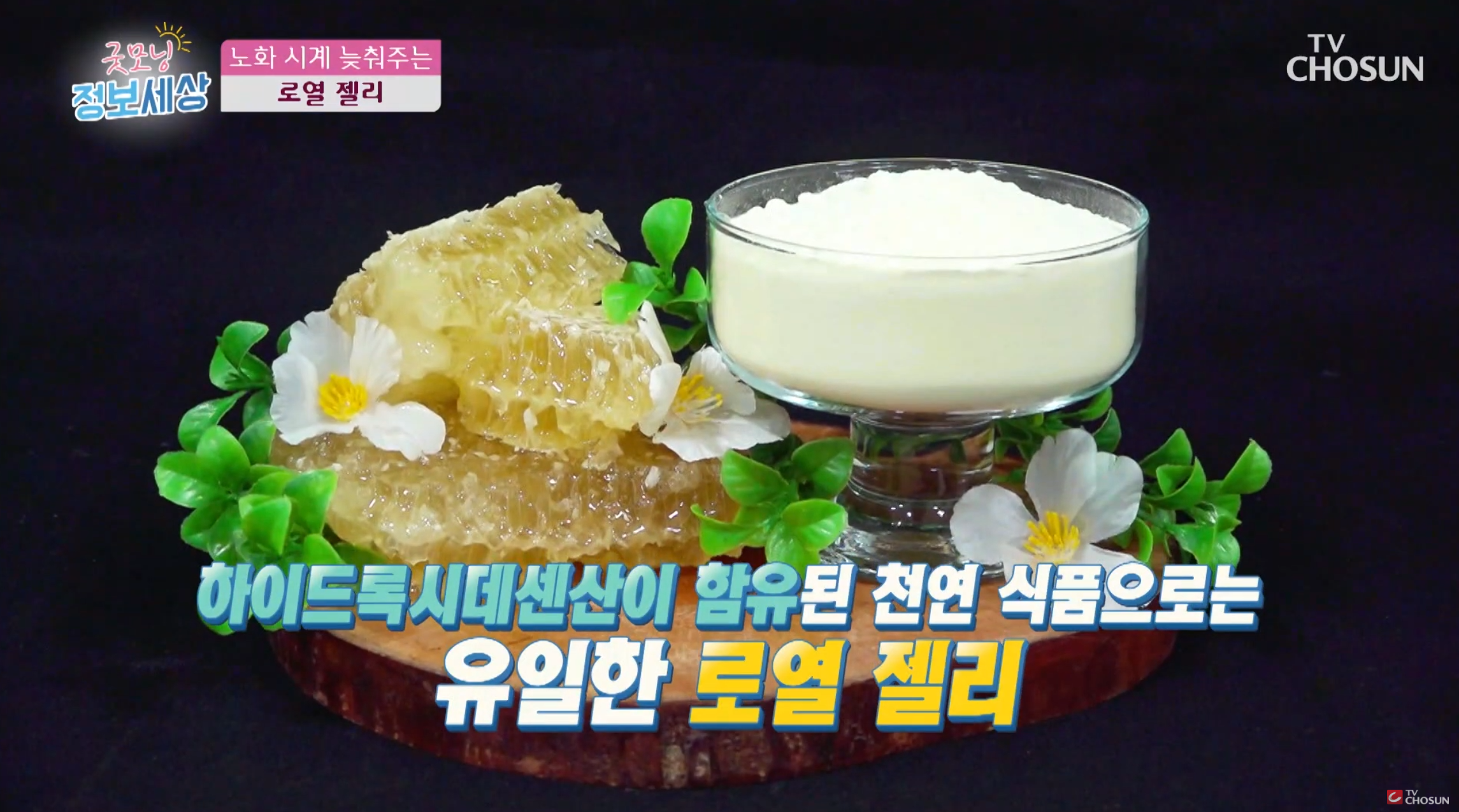 노화예방 끝판왕 로열젤리분말 효능