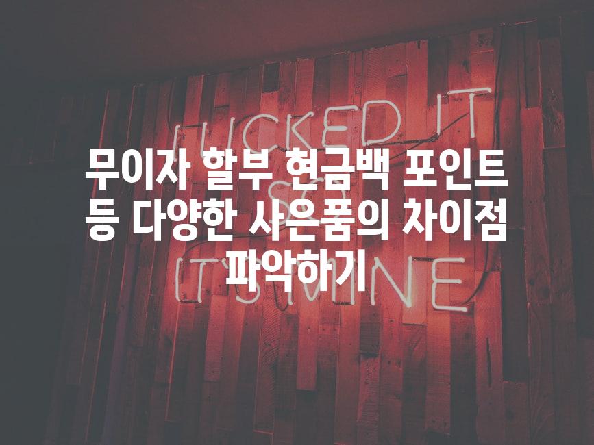 무이자 할부 현금백 포인트 등 다양한 사은품의 차이점 파악하기