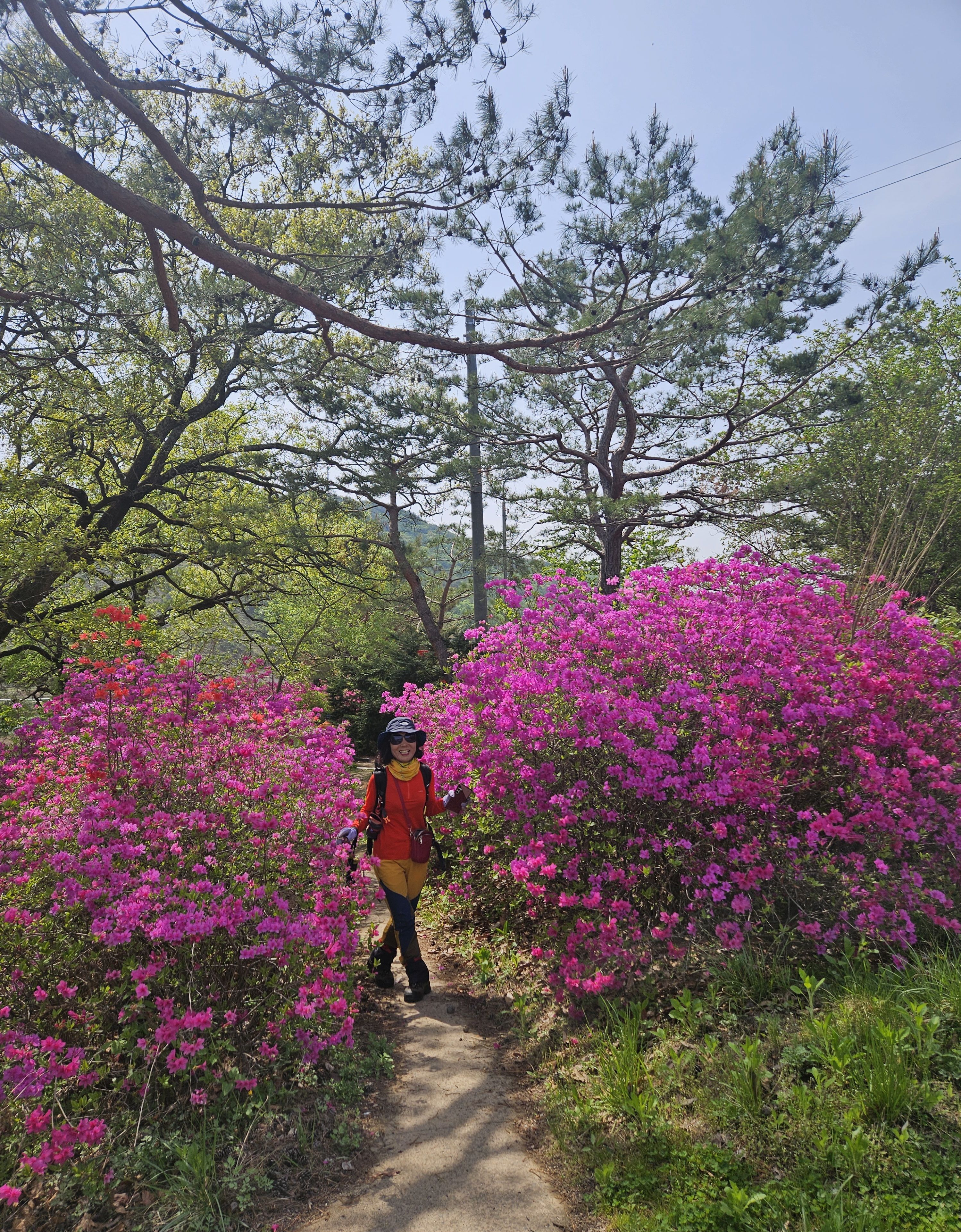 형제봉 이미지