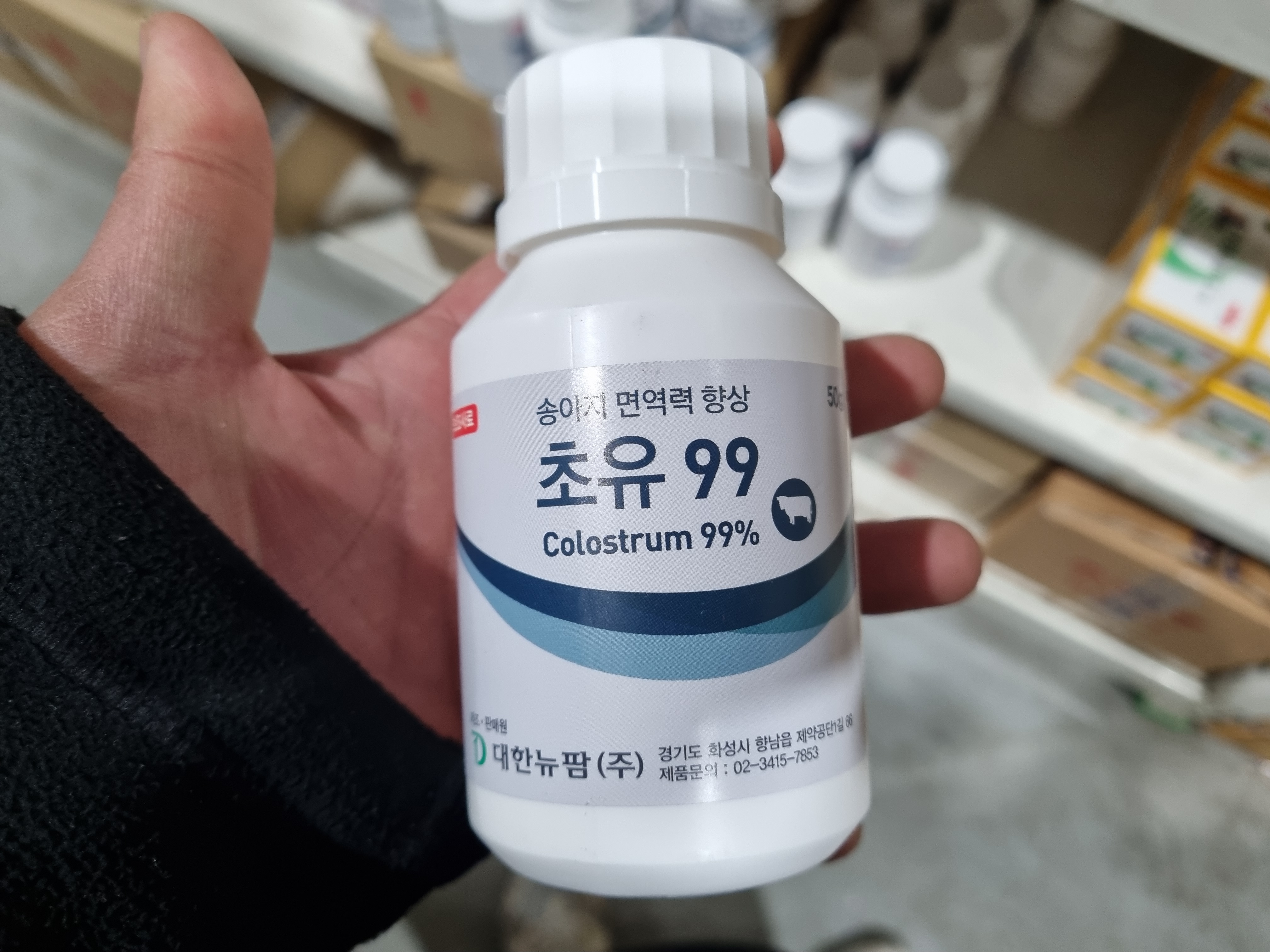  송아지새끼를 위한 면역력 향상 어미소 대한뉴팜 초유99