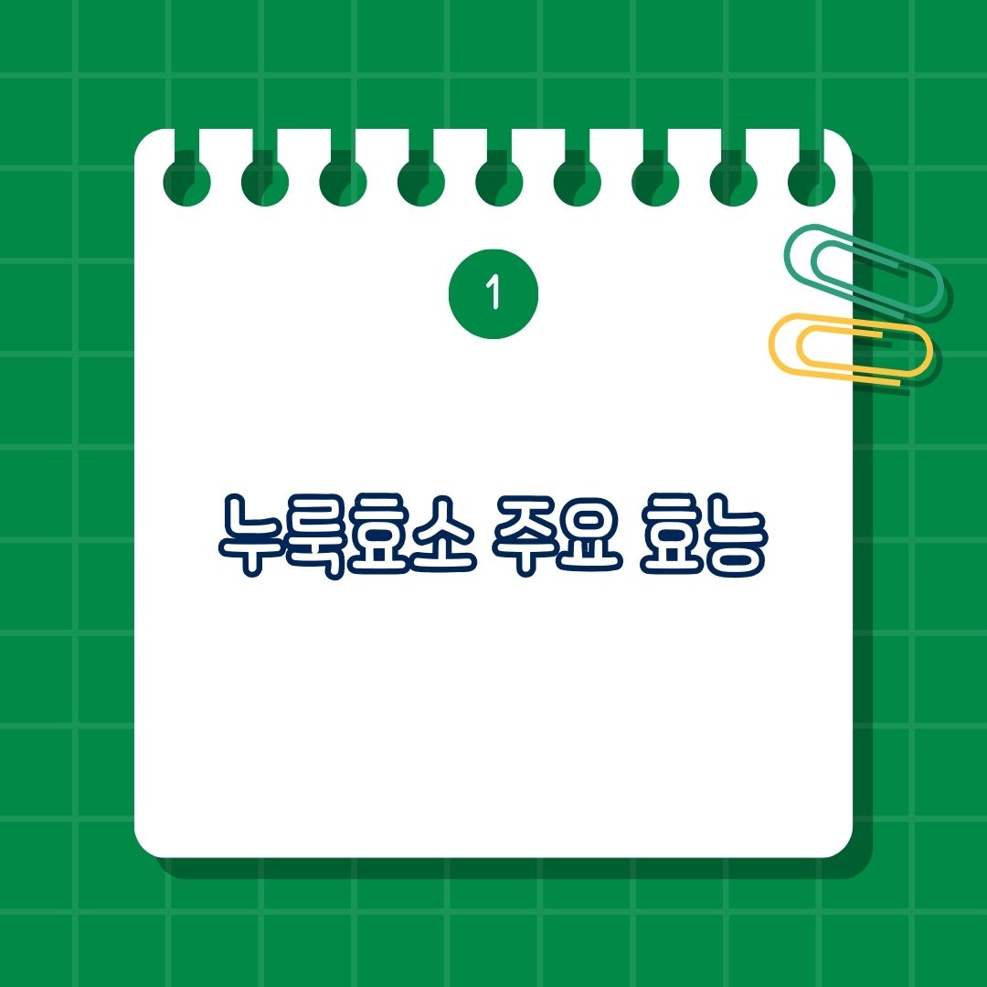 누룩효소의 주요 효능에는 소화 촉진 및 대사 효율 증가, 항산화 작용, 면역력 강화, 체중 관리 및 체지방 감소 보조, 심혈관 건강 개선
