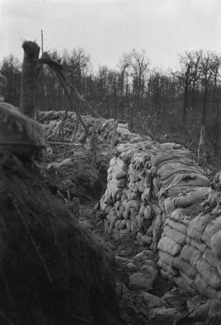 제1차 세계대전 서부전선 대절벽 전투