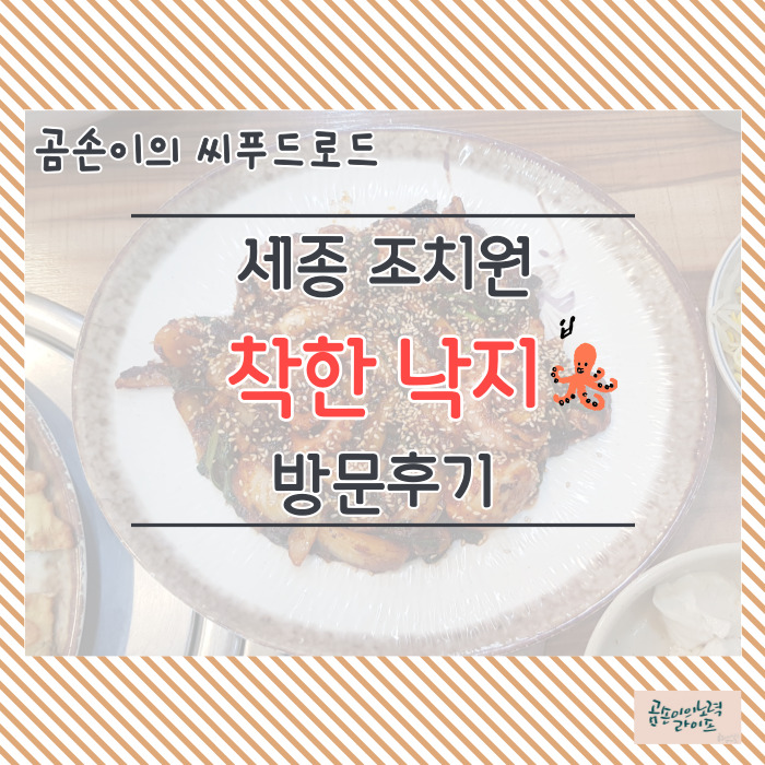  곰손이의 씨푸드 로드 : 세종 조치원 착한낙지