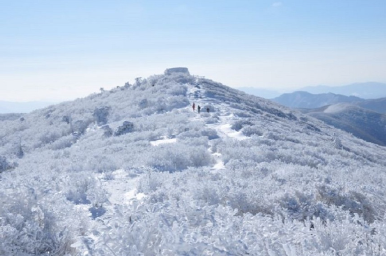 태백산눈축제일정셔틀버스주차장