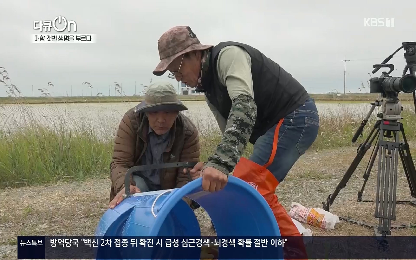 다큐 On.E151.220805p.H264-F1RST.mp4_20220806_193412.976.jpg