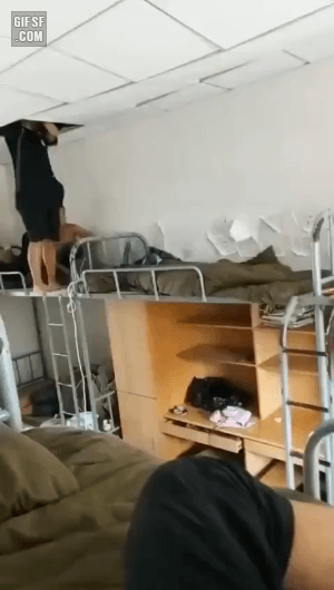  [짤] 대륙의 기숙사.gif