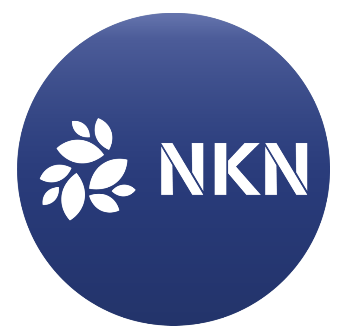  엔케이엔(NKN) 코인 전망