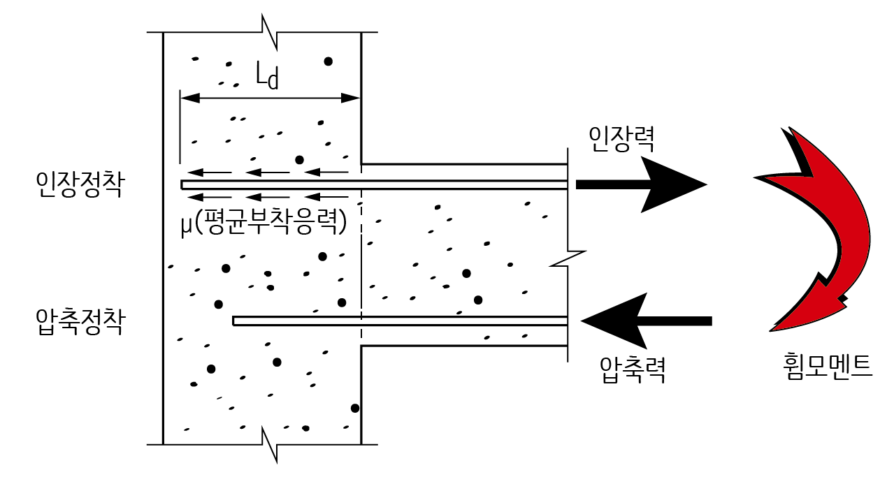 배근 기초-정착의 개념