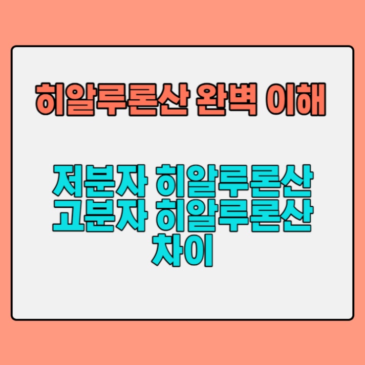 고분자-저분자-히알루론산-앰플-차이