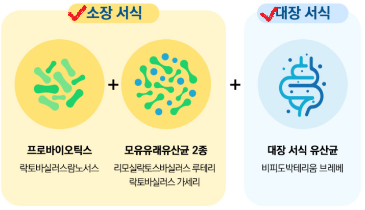 유산균