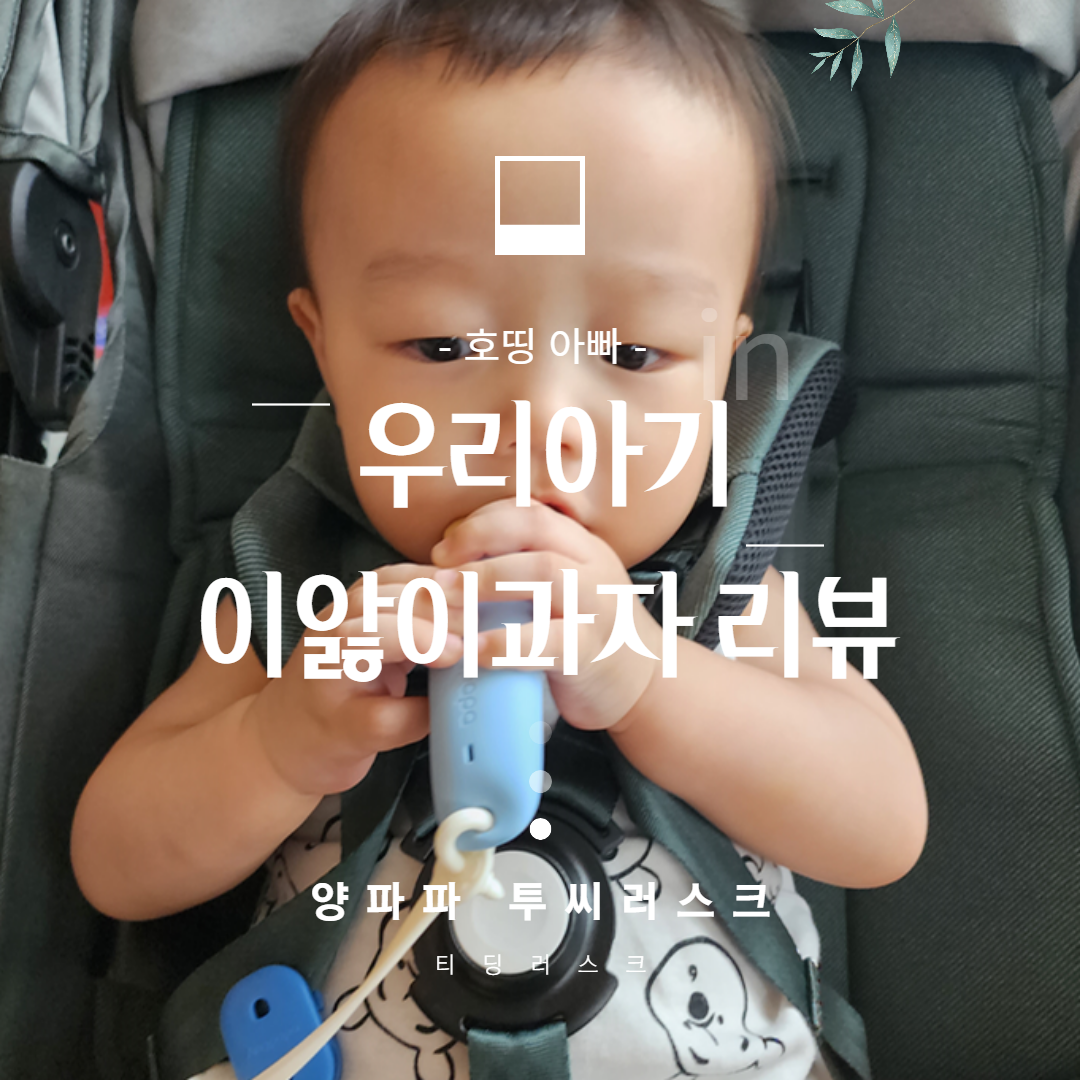  티딩 러스크 이앓이 과자 양파파 투씨러스크 홀더세트 리뷰