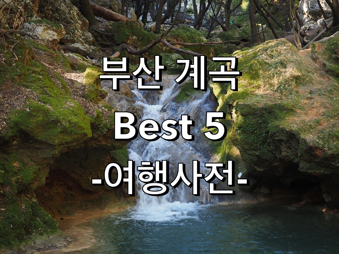  부산 계곡 추천 Top 5