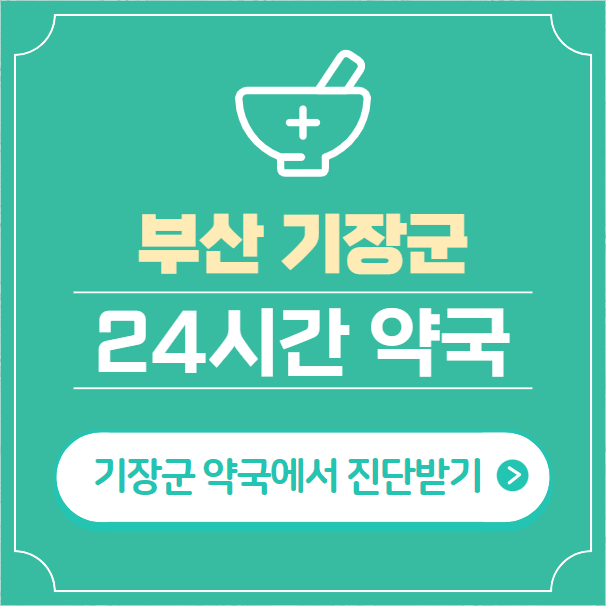  부산 기장군 24시간 약국 찾기 | 휴일 야간 심야 일요일 당번약국 15곳