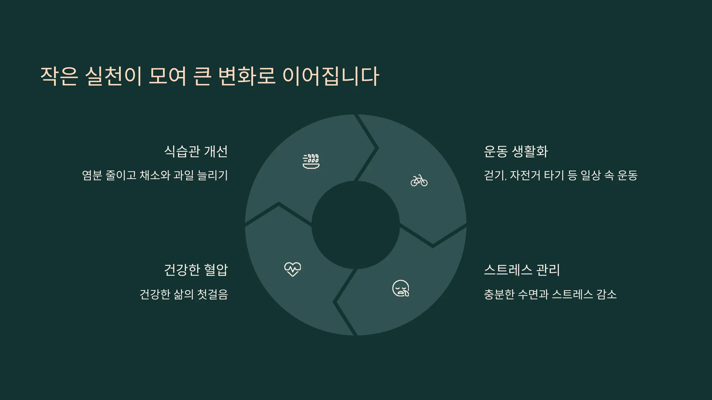 작은 실천이 모여 큰 변화로 이어집니다