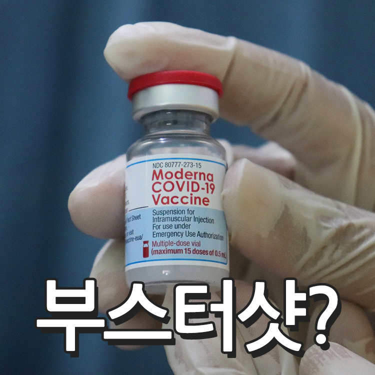 코로나 백신을 들고있는 손