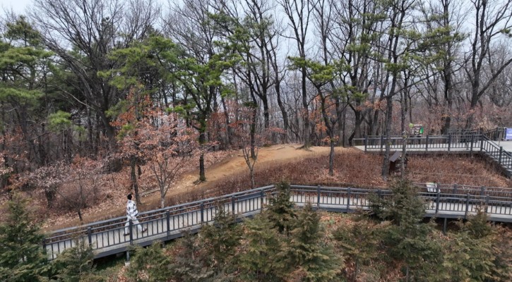 은평구-봉산-무장애숲길