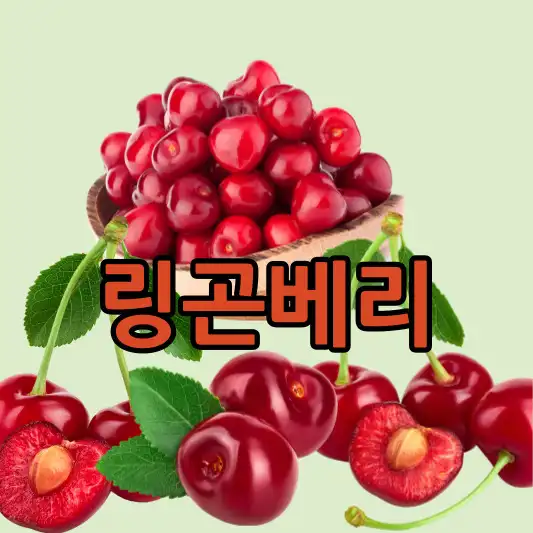  링곤베리가 슈퍼푸드 TOP 10인 이유