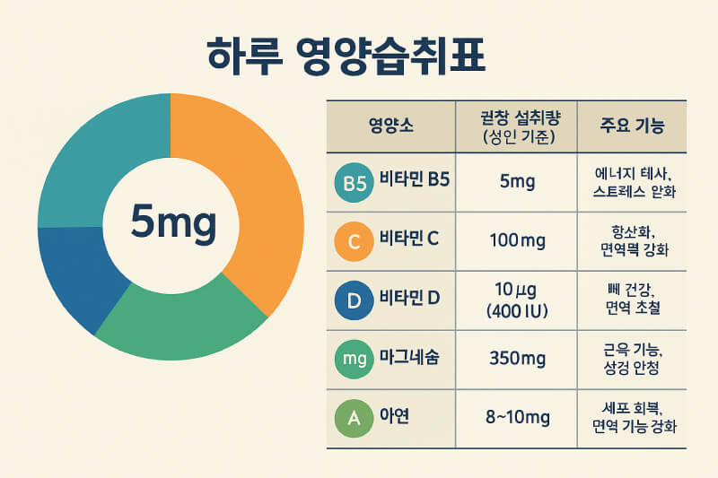하루 권장량에 맞춘 팬토텐산 섭취 방법 안내 이미지