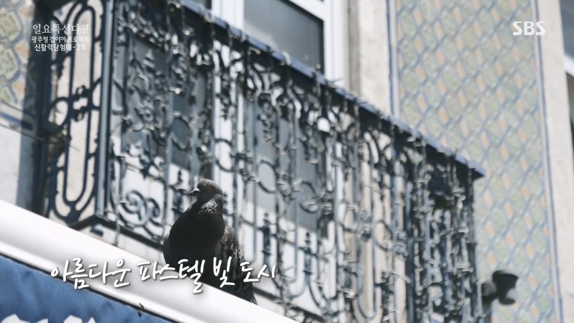 일요 특선 다큐멘터리.E326.231029p.H264-F1RST.mp4_20231029_160634.661.jpg