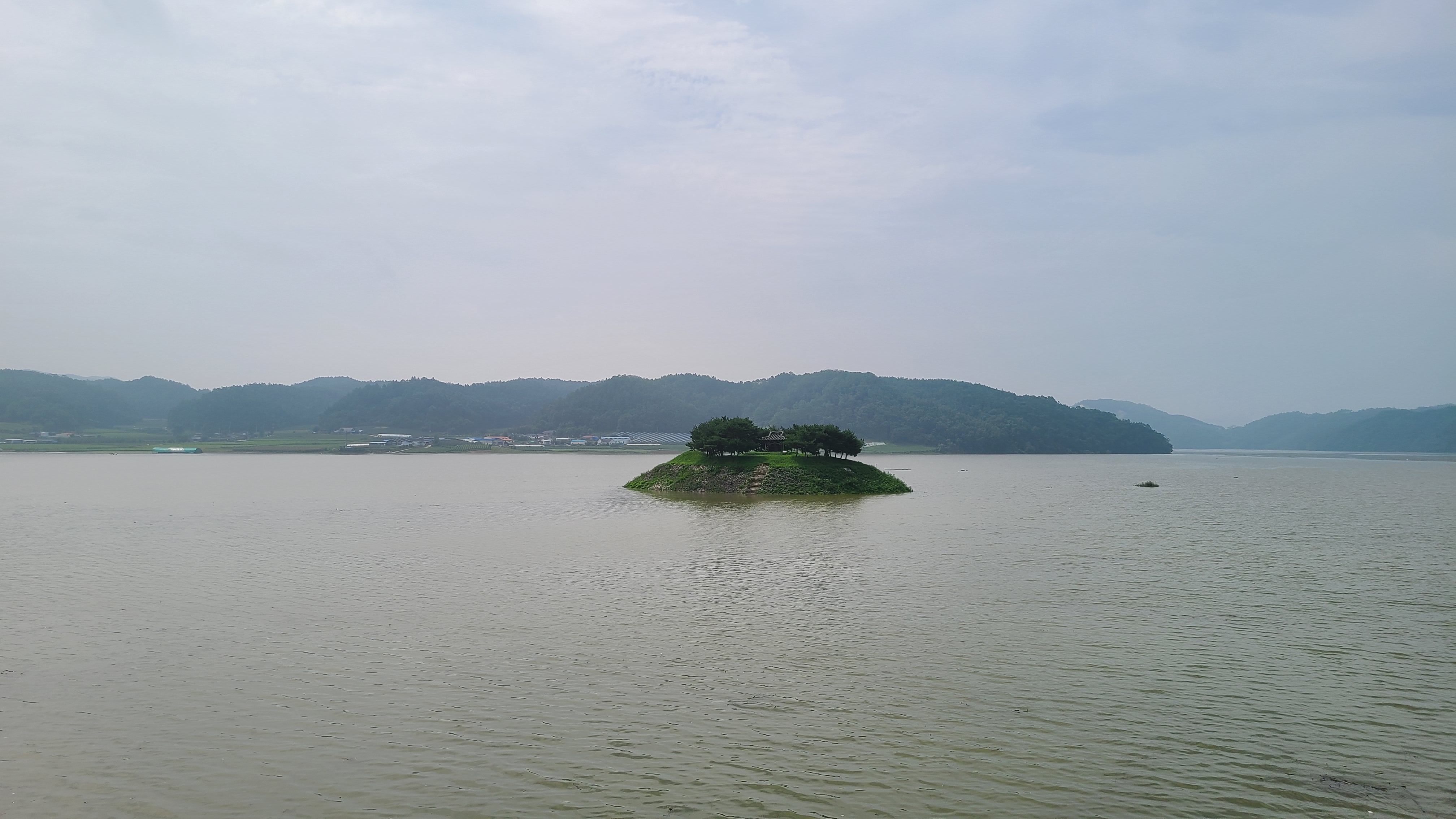  봉화 폭우 도산서원 시사단 물에 잠긴 의촌리 청보리밭 침수
