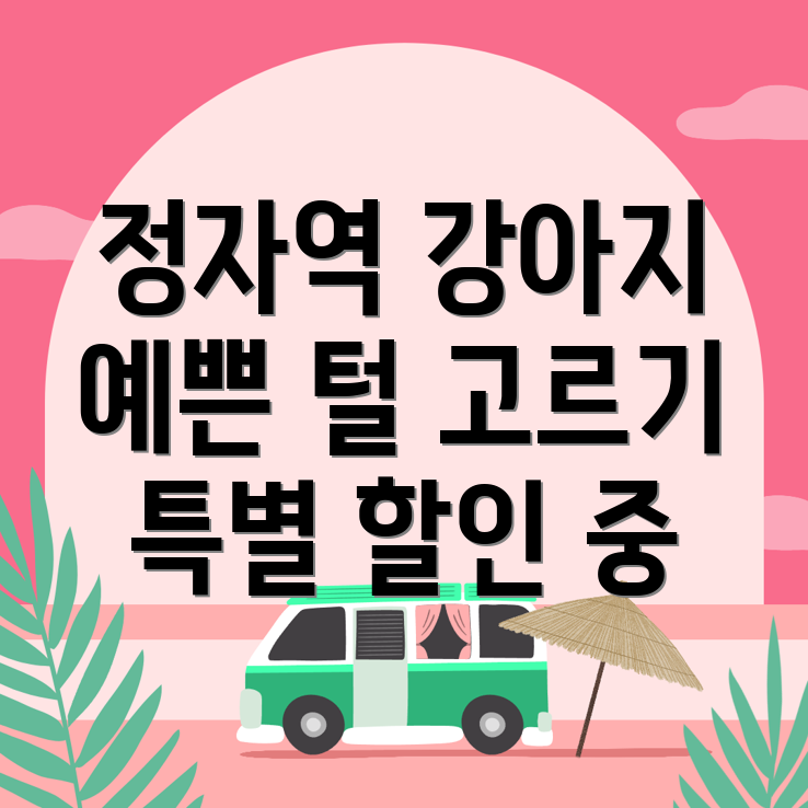 정자역 강아지 미용실