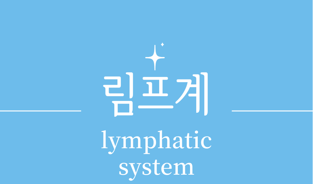 '림프계(lymphatic system)'