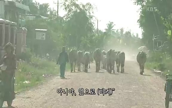 [4521회] 인간극장 - KBS사랑해요 로꾸르 최 1부] 최정규, 김성녀 씨 부부는 캄보디아 오지마을을 찾아다니며 17년 째 치과 봉사를.ts_20220822_161454.967.jpg