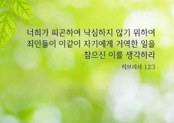 히브리서 3장 하느님의 성경 묵상_5