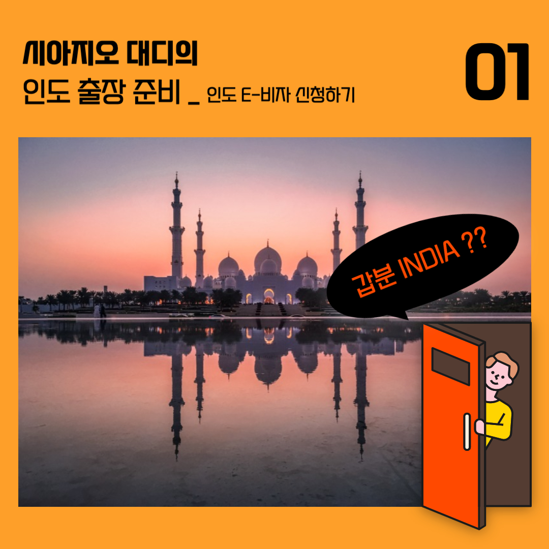 인도 / 인도출장 / 인도 여행 / 인도 비자 / 비자발급 / 인도 e-visa / 여행 / 출장