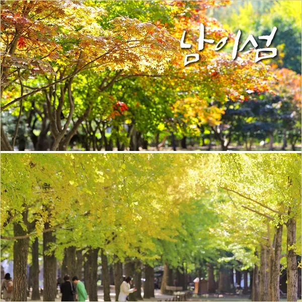 겨울 춘천 가볼만한곳 베스트10 현지인 추천 필수코스_5