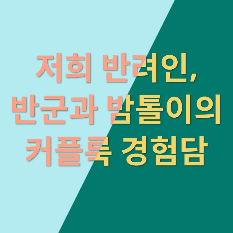 반려견 커플룩_3