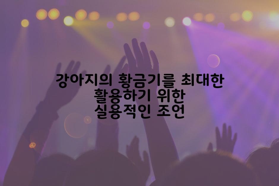 강아지의 황금기를 최대한 활용하기 위한 실용적인 조언