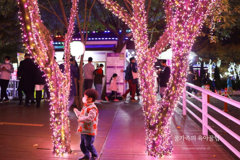 경북 축제 경북 아이와가볼만한곳 청도 40