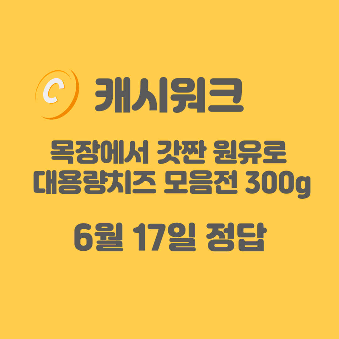 대용량치즈-정답