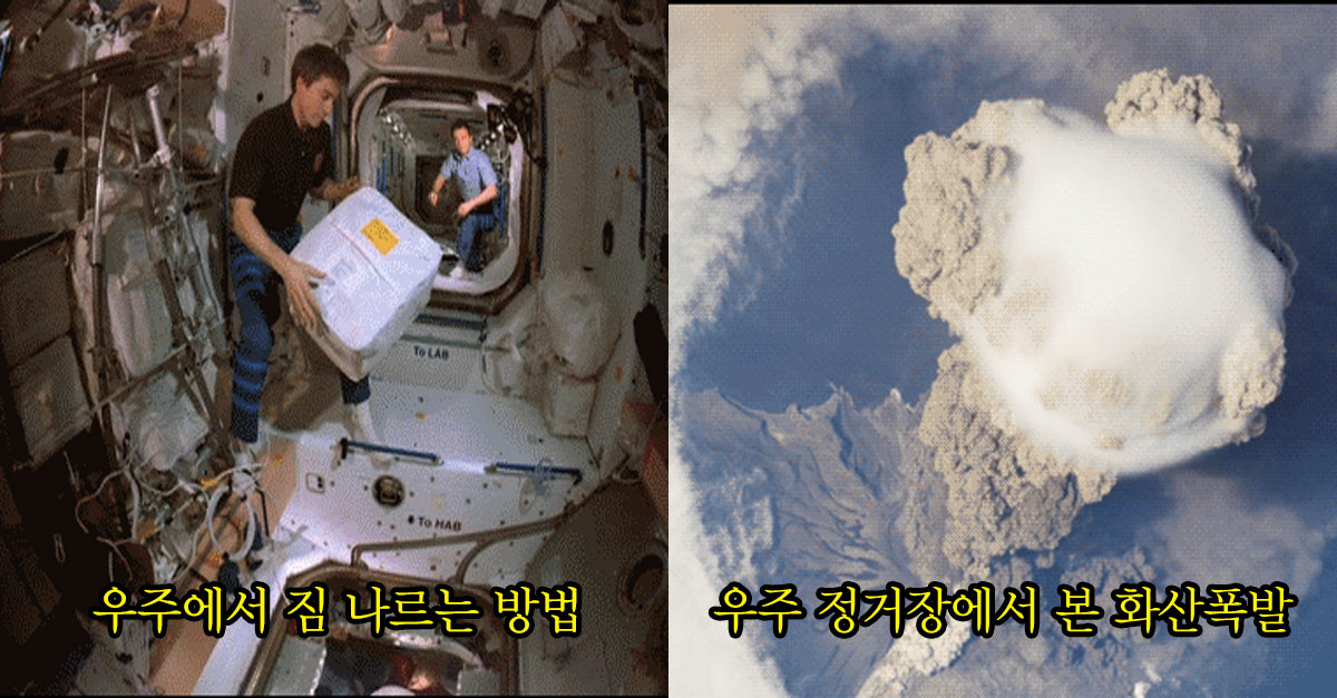  엄청 신기한 움짤 모음