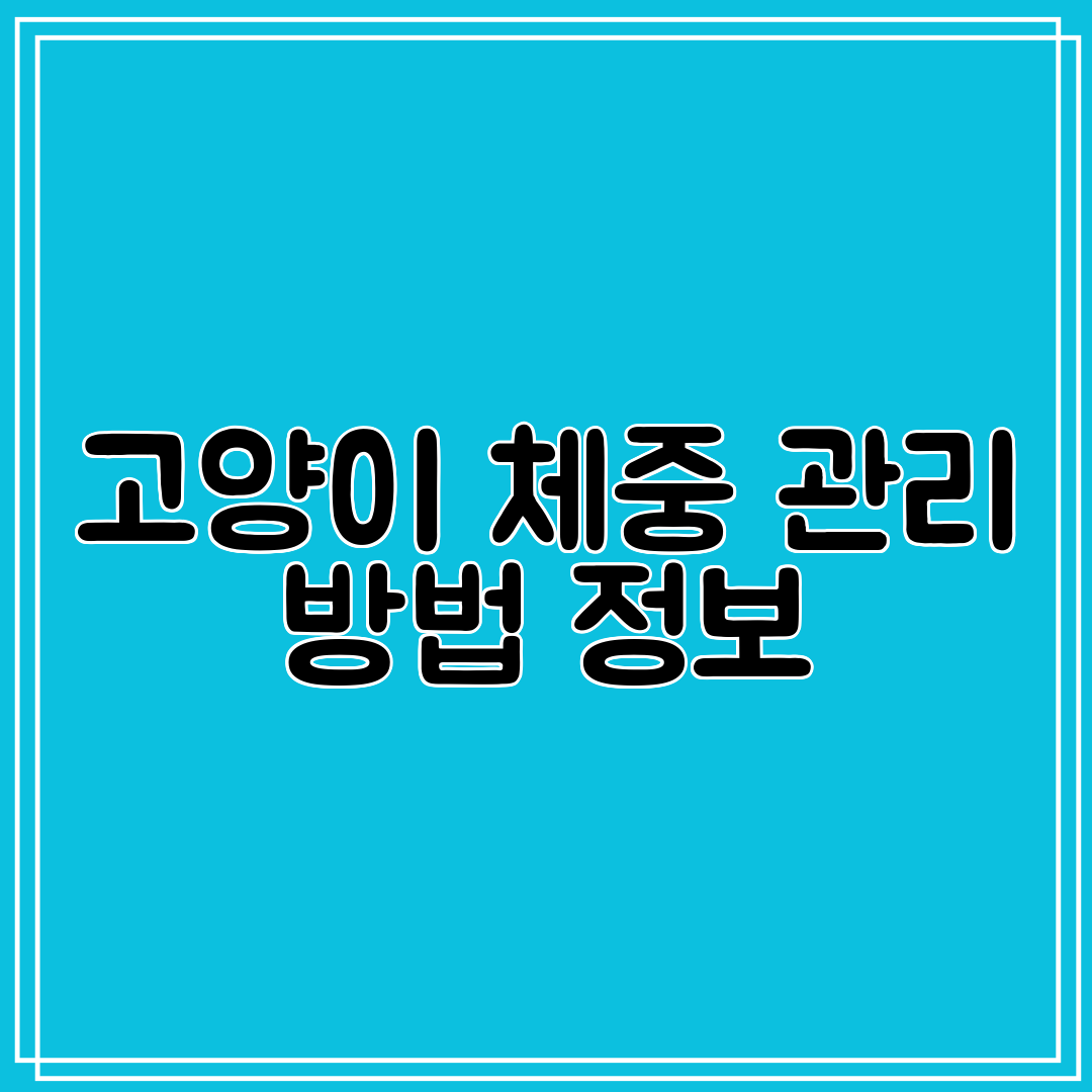 고양이 체중 관리 방법 정보