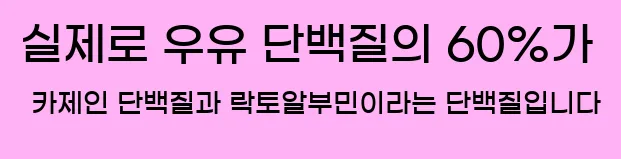 실제로 우유 단백질의 60%가 카제인 단백질과 락토알부민이라는 단백질입니다.