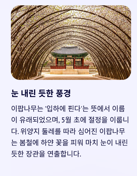 주변 관광지와 즐길 거리