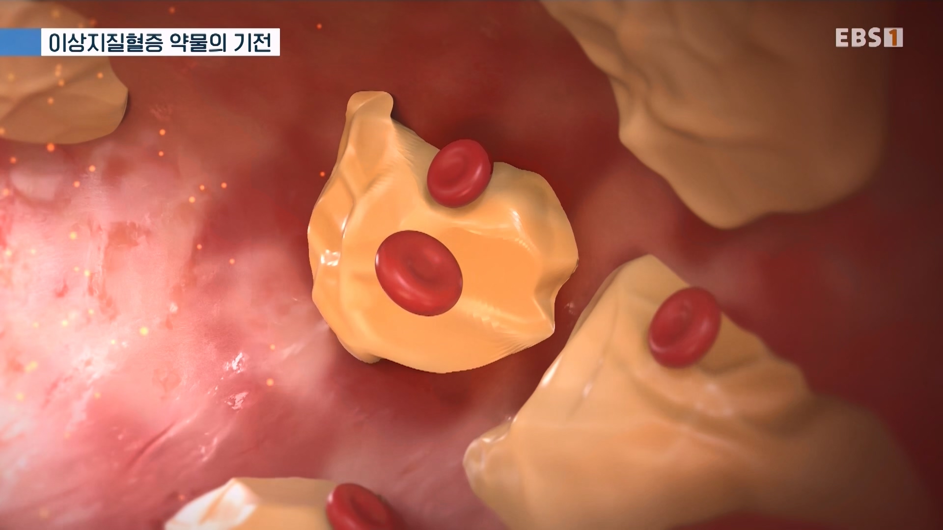 명의 240726 1080p.mp4_20240727_220920.622.jpg