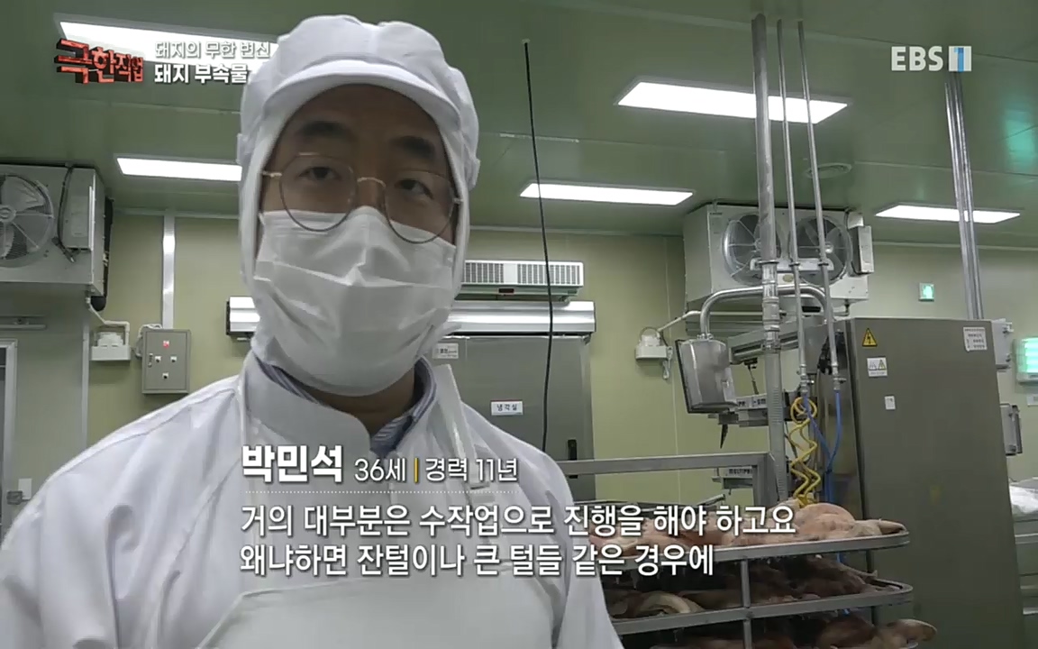 TV - 교육의 중심 EBS돼지의 무한 변신 - 하몬, 소시지, 순대.mp4_20220919_200318.712.jpg